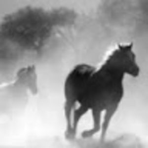 Meet your Posher, Mechaela